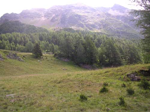 DSCN1300