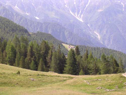 DSCN1303