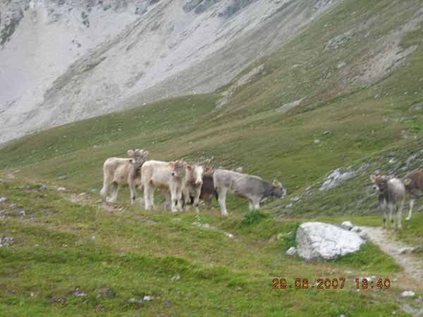 luglio07