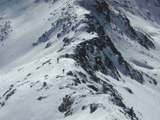 pizzo