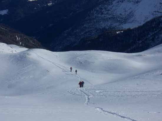 pizzo