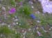 DSCN3374